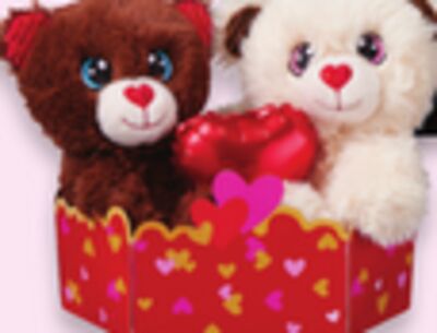 Valentine plush couple