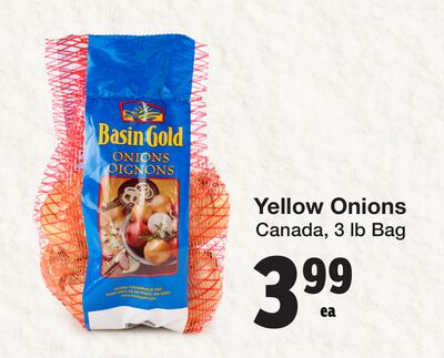 Basin Gold Yellow Onions