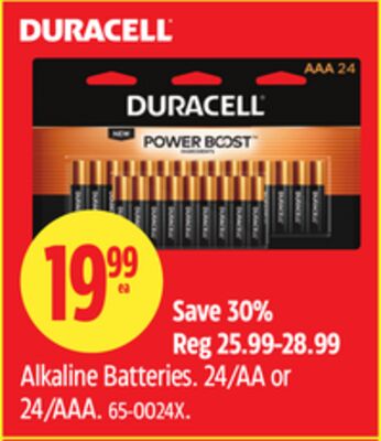 Duracell Alkaline Batteries
