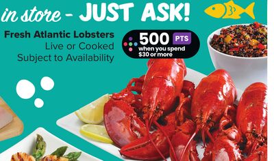 Fresh Atlantic Lobsters
