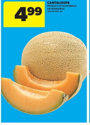CANTALOUPE