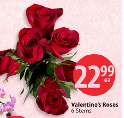 Valentine's Roses