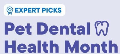 Pet Dental Health Month