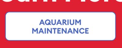 AQUARIUM MAINTENANCE