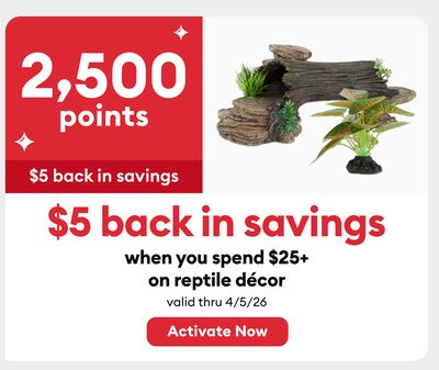 2,500 points when you spend $25+ on reptile décor
