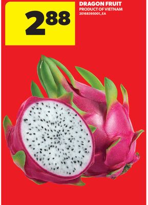 DRAGON FRUIT