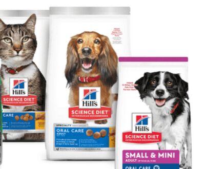 Hill's Science Diet Oral Care Dry Dog & Cat Food