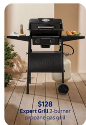 Expert Grill 2-Burner Propane Gas Grill