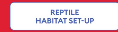 REPTILE HABITAT SET-UP