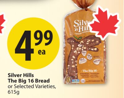 Silver Hills The Big 16 Bread