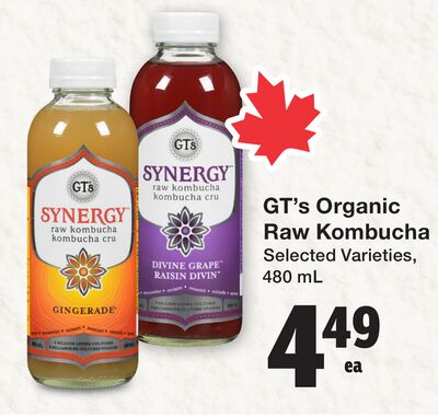 GT's Organic Raw Kombucha