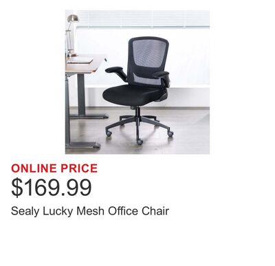 Sealy Lucky Mesh Office Chair