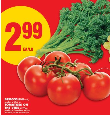 BROCCOLINI, TOMATOES ON THE VINE