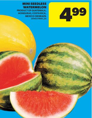 MINI SEEDLESS WATERMELON