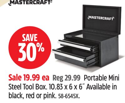 Mastercraft Portable Mini Steel Tool Box