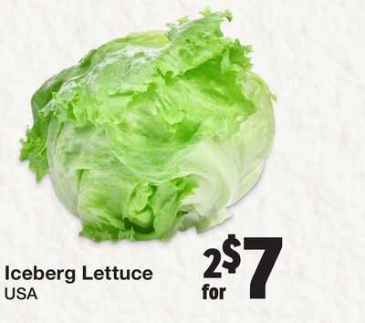 Iceberg Lettuce