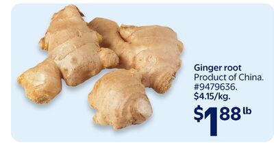 Ginger root