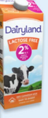 Dairyland 1.89 L lactose free