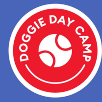 Doggie Day Camp