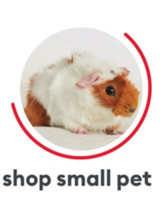 SHOP SMALL PET