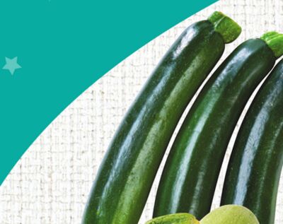 Green Zucchini or Grey Marrow Squash