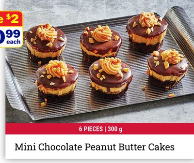 Mini Chocolate Peanut Butter Cakes