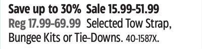 MotoMaster Selected Tow Strap, Bungee Kits or Tie-Downs.