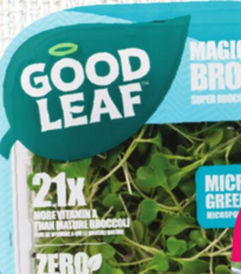 GoodLeaf Farms Microgreens