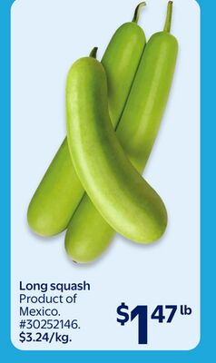 Long squash