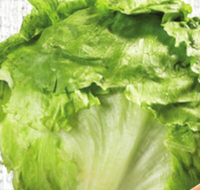 Iceberg Lettuce or Bunch Carrots