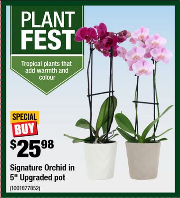 P1_Category_07up_01_811_Eng_DIY_WK04_AC