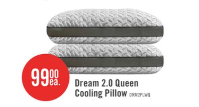 Masterguard® Dream 2.0 Cooling Queen Pillow