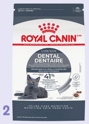 Royal Canin Dental Care Adult Cat Food