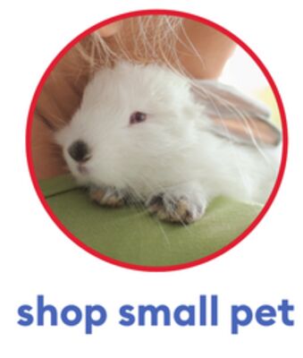 shop small pet