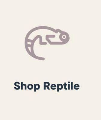 Shop Reptile