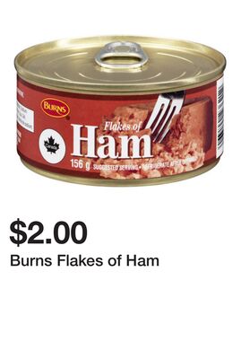 Burns Flakes of Ham